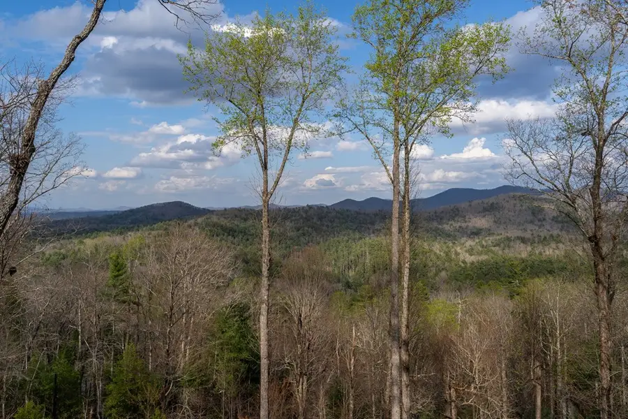 967 River Bend Lane, Blue Ridge, GA 30513 - #2