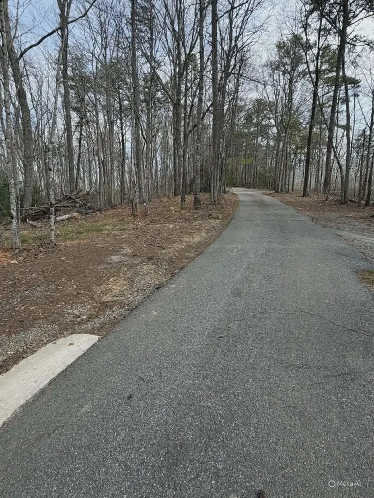 Tract B2 Mountain Ridge, Blue Ridge, GA 30513 - #2