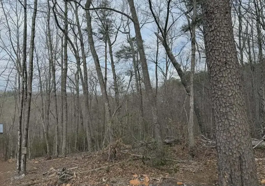 Tract B2 Mountain Ridge, Blue Ridge, GA 30513 - #3