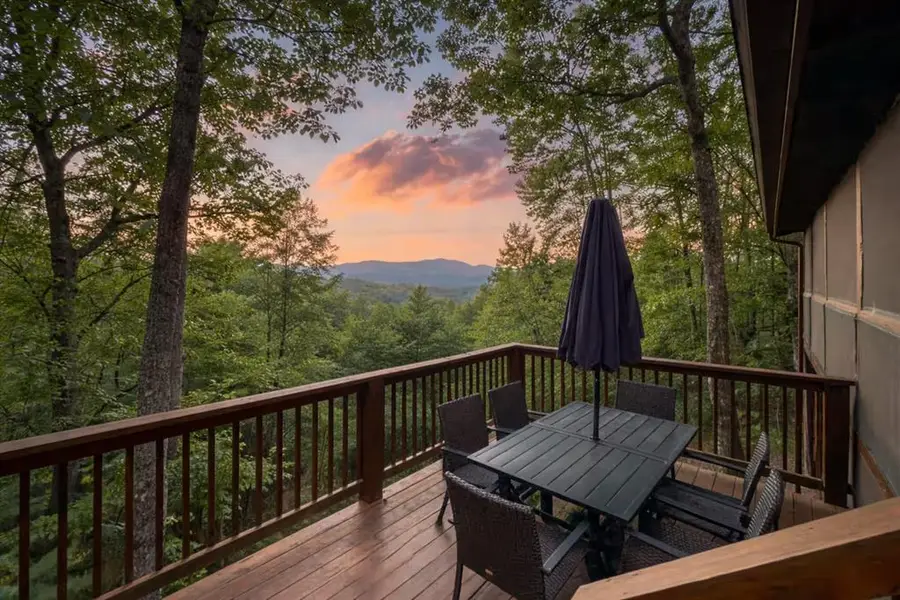 1113 Cherry Lake Drive, Cherry Log, GA 30522 - #2