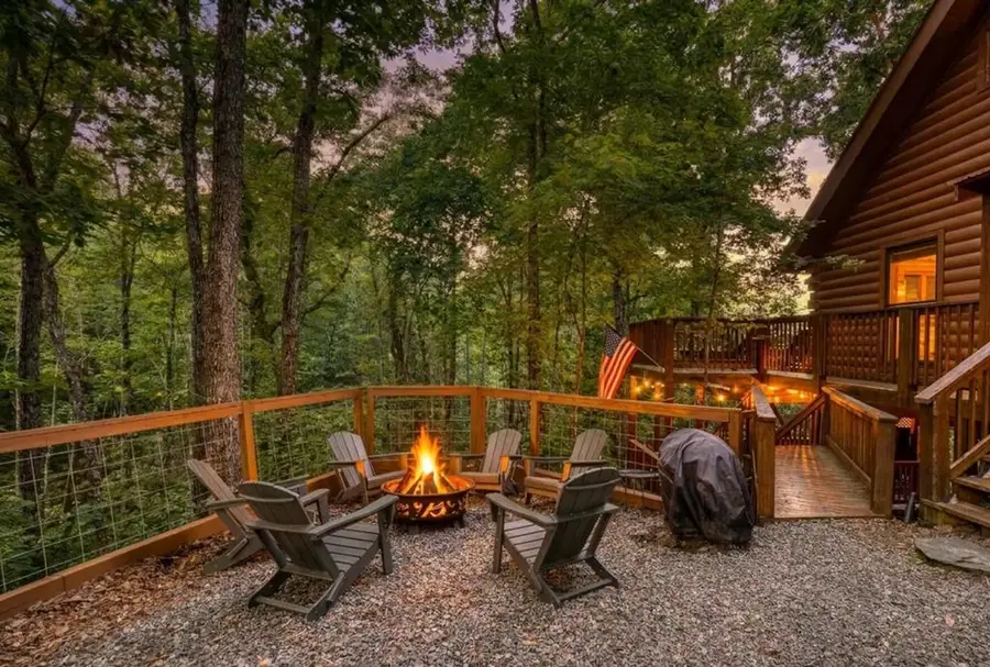 1113 Cherry Lake Drive, Cherry Log, GA 30522 - #3