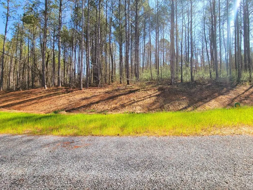 68 Mountaingate Way, Ellijay, GA 30536 - #1