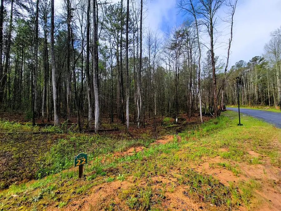 22 Mountaingate Way, Ellijay, GA 30536 - #3
