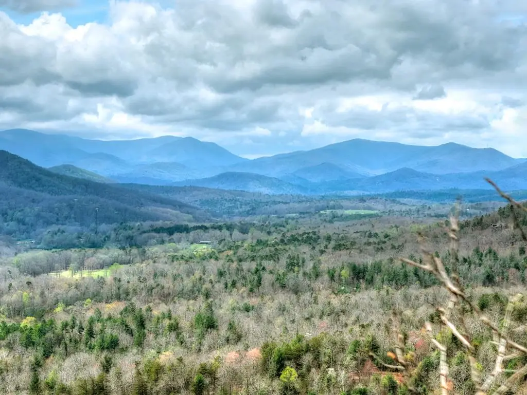 Lot 29 Forest Drive, Morganton, GA 30560 - #1