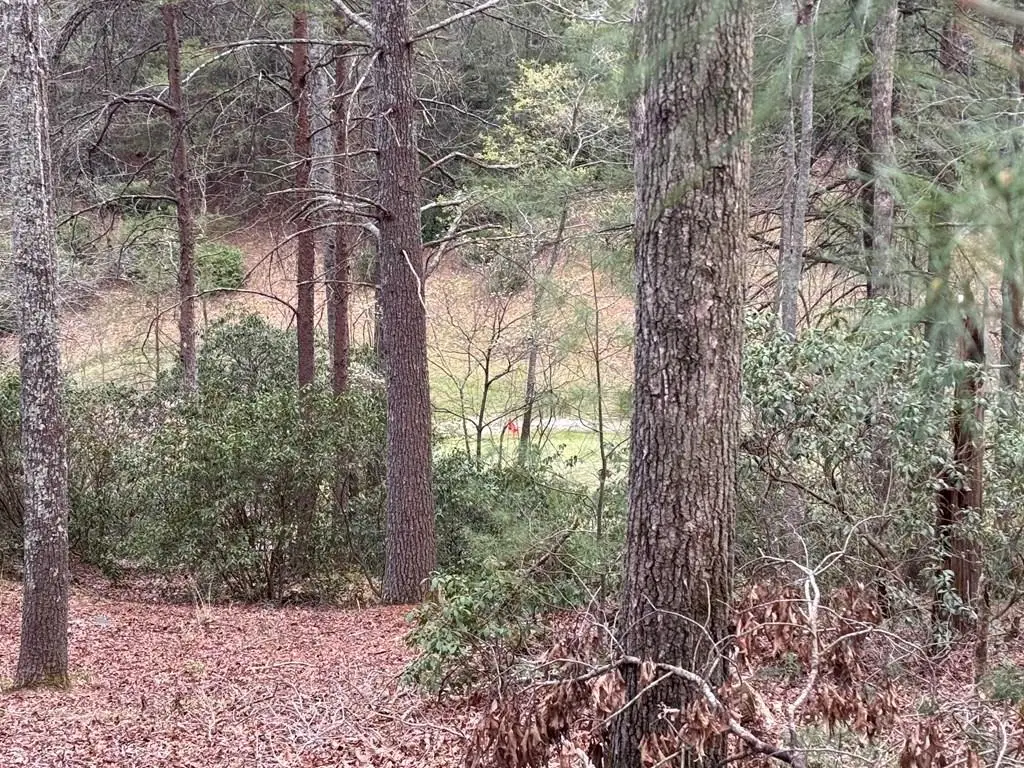 Lot 43 Seneca Drive, Ellijay, GA 30540 - #1