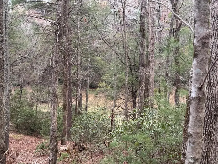 Lot 43 Seneca Drive, Ellijay, GA 30540 - #2