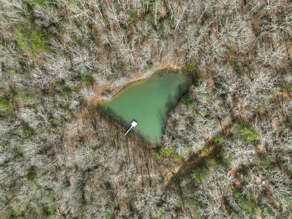 8.52 AC Mcnelley Road, Morganton, GA 30560 - #1