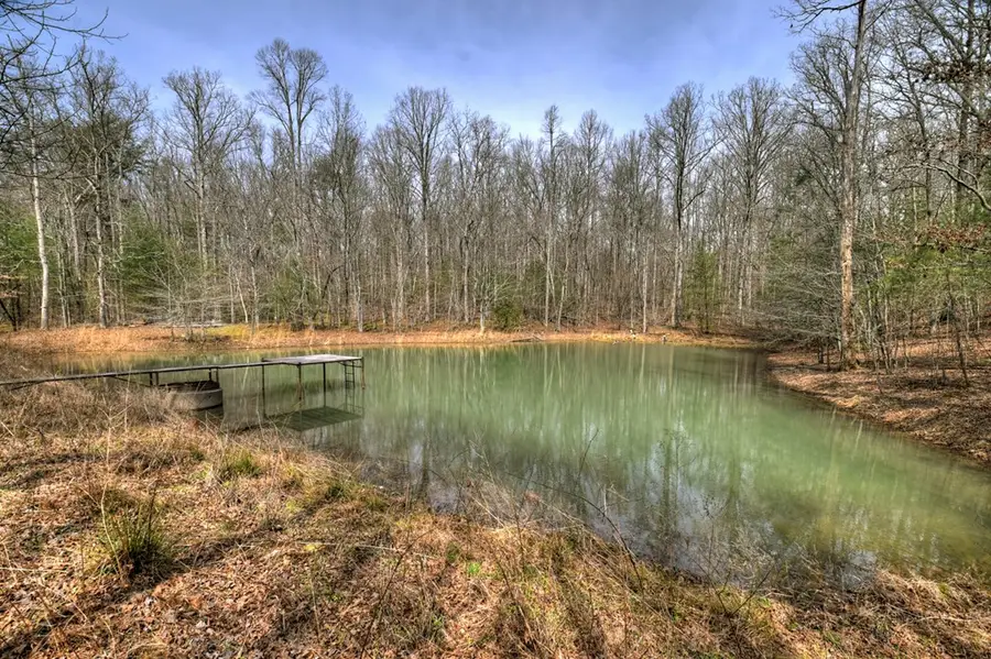 8.52 AC Mcnelley Road, Morganton, GA 30560 - #2