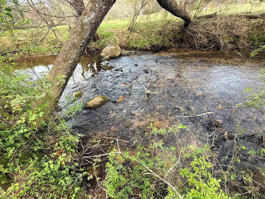 742 Beaver Run Road, Blairsville, GA 30512 - #3