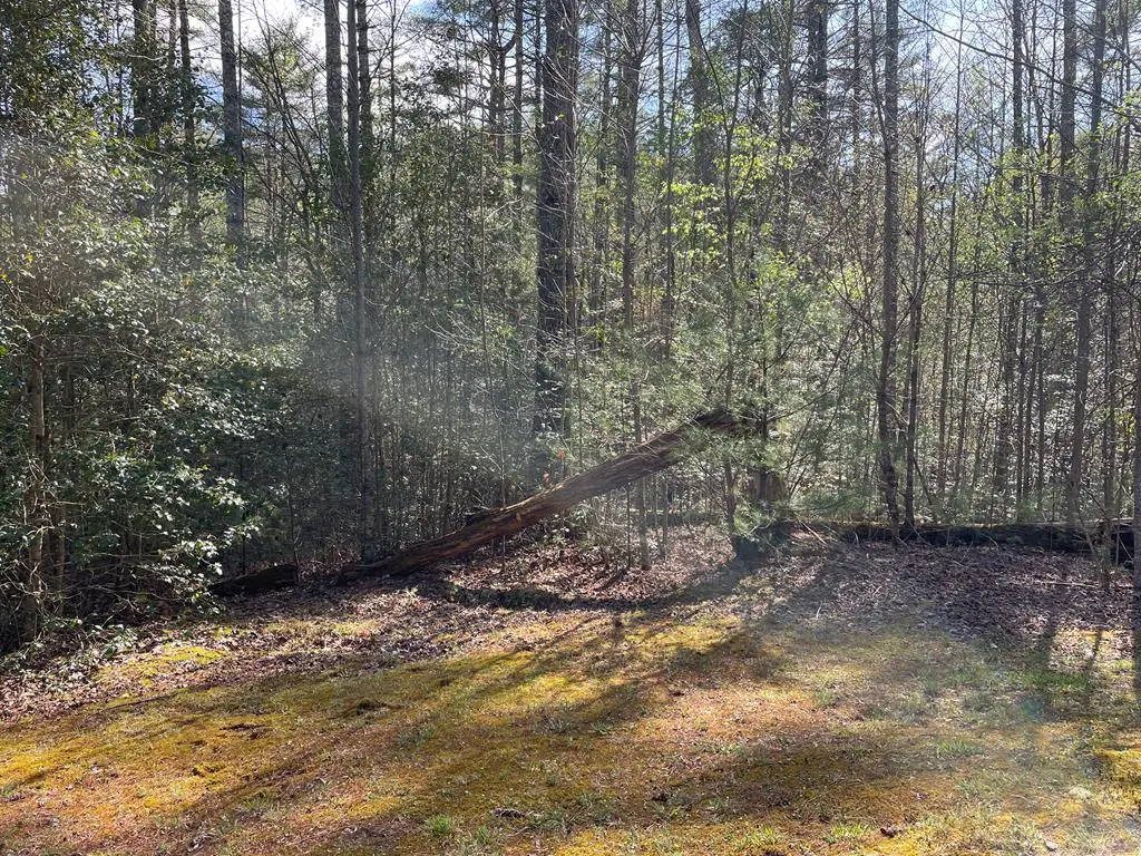 Lot 89 Spectacular, Hayesville, NC 28904 - #1
