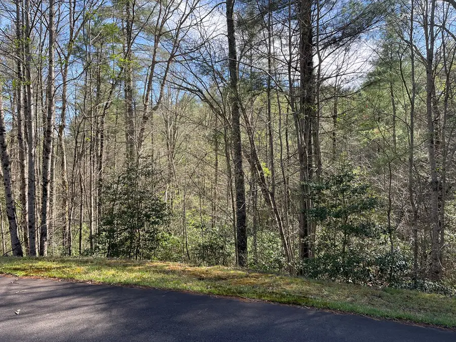 Lot 89 Spectacular, Hayesville, NC 28904 - #3