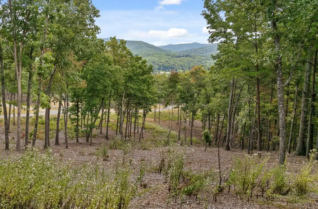 Lot 88 Split Creek Road, Morganton, GA 30560 - #1