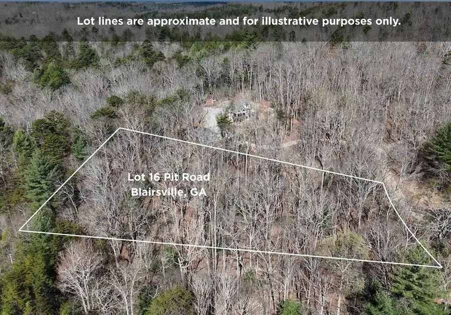 Lot 16 Pit Road, Blairsville, GA 30512 - #2