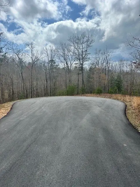 Lot 195 Trails End Way, Mineral Bluff, GA 30559 - #2