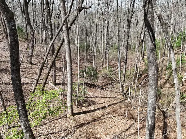 L129/124 Laurel Crossing, Blue Ridge, GA 30513