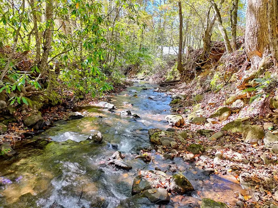 1064 Muskrat Creek Road, Hayesville, NC 28904 - #3