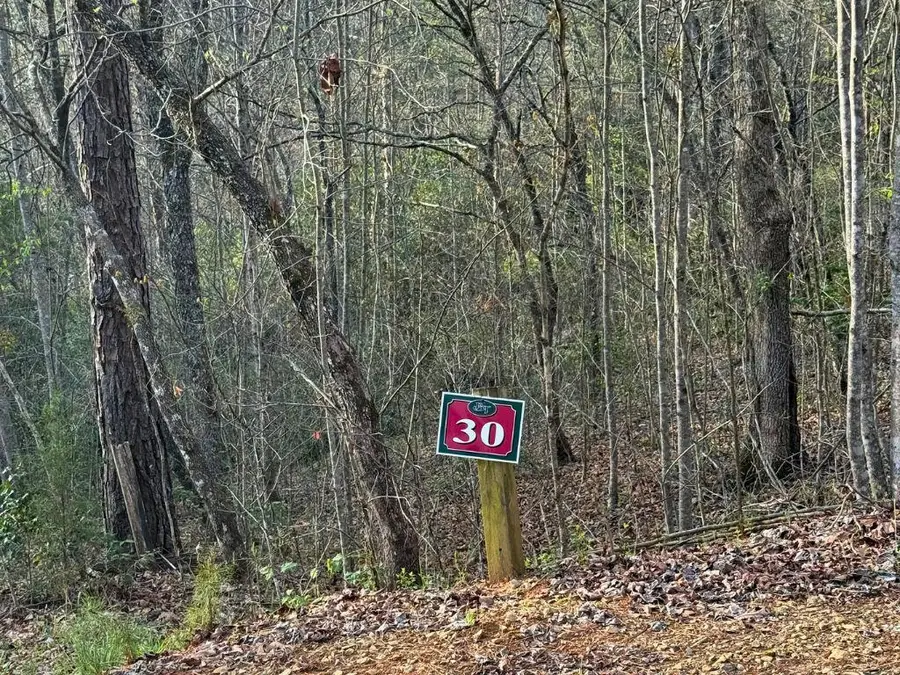 Lot 30 Brasstown Trails, Warne, NC 28909 - #3