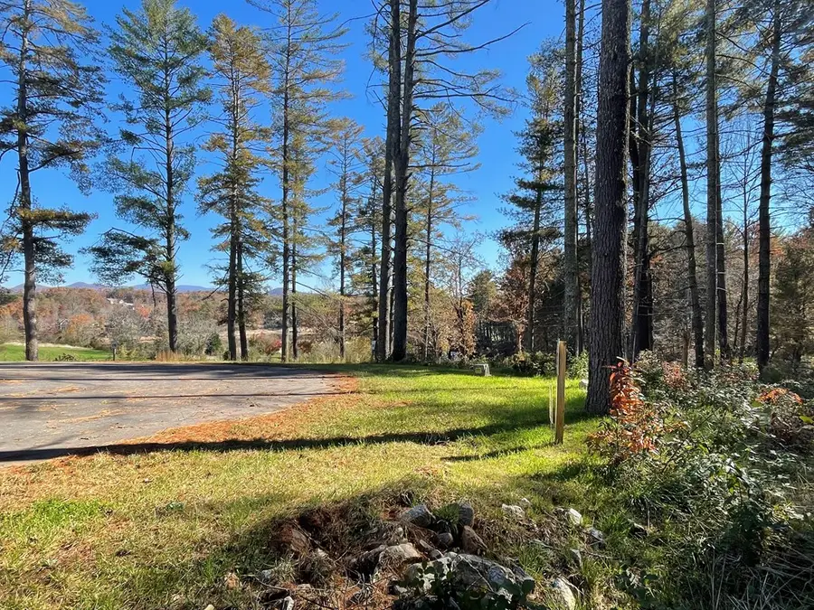 Lot 173 Highland Park, Blairsville, GA 30512 - #2