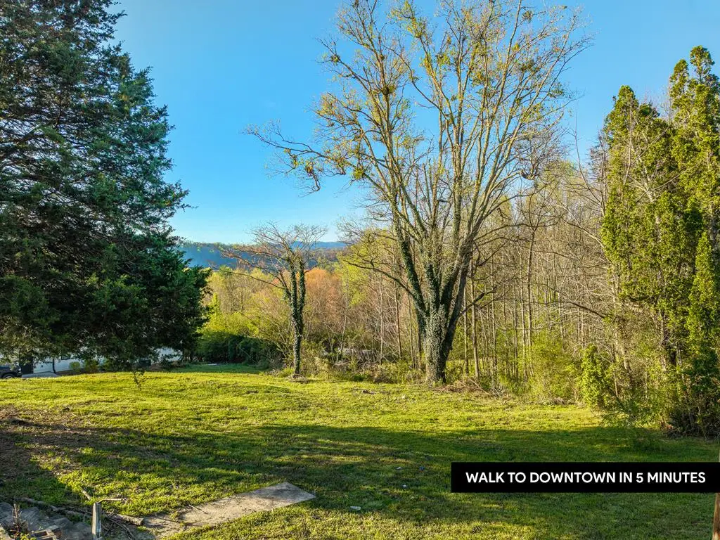 291 E Second Street, Blue Ridge, GA 30513 - #1