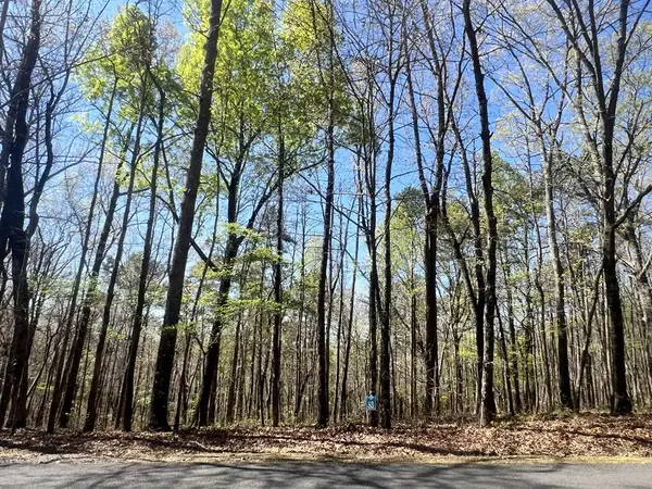 Lot 93 Doll Mountain Road, Ellijay, GA 30540