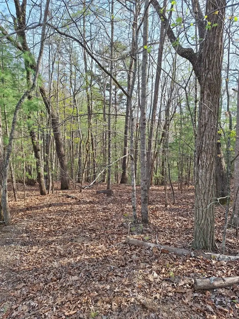 LOT 22 Mull Lane Cir, Lt 22, Morganton, GA 30560 - #3