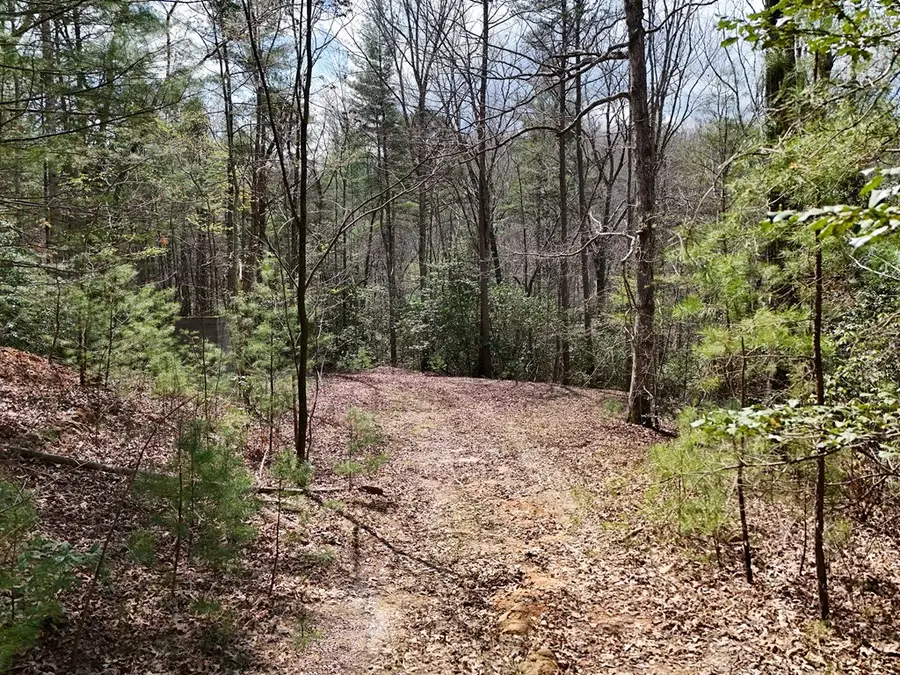 Lot 117 Laurel Trace, Blue Ridge, GA 30513 - #2