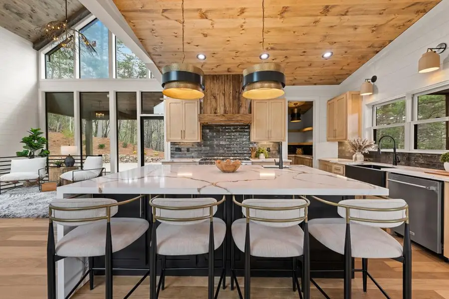 125 Stanley Creek Overlook, Cherry Log, GA 30522 - #3