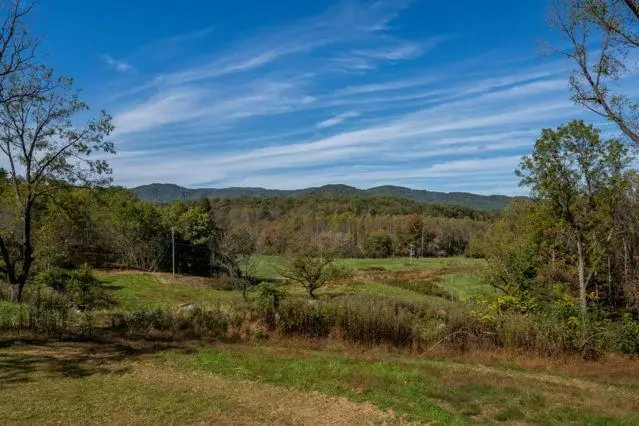 7590-B Mobile Road, Blue Ridge, GA 30513 - #2
