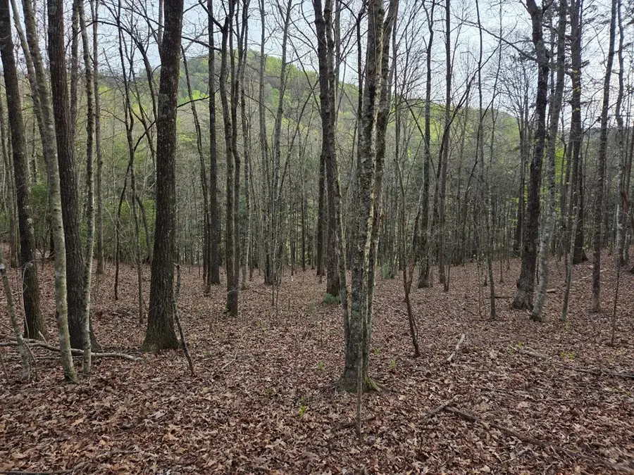 Lot 53 Calvender Road, Turtletown, TN 37326 - #2