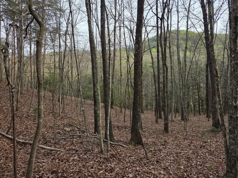 Lot 53 Calvender Road, Turtletown, TN 37326 - #3