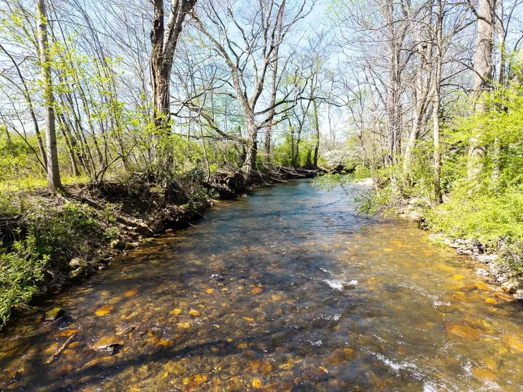 9 Tusquittee Creek Lane, Hayesville, NC 28904 - #1