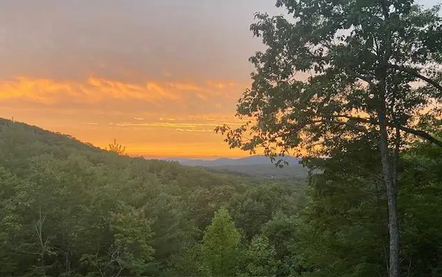 313 Lexington Drive, Brasstown, NC 29802 - #2