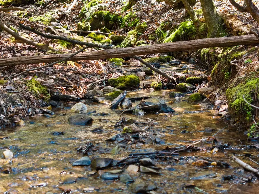 487 Walkabout Creek Road, Morganton, GA 30560 - #2