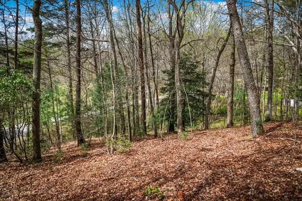 Lot 1 Wolf Creek Estates, Mineral Bluff, GA 30559