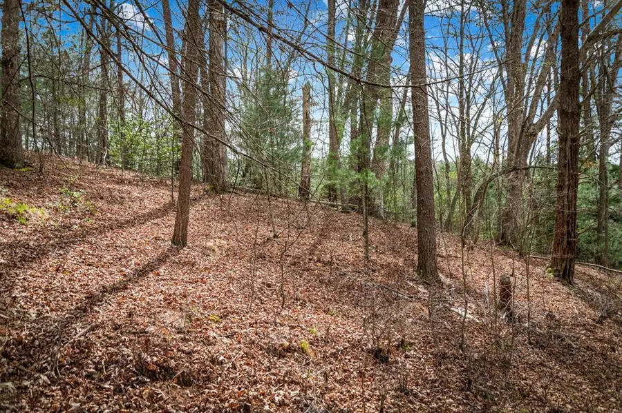 Lot 1 Wolf Creek Estates, Mineral Bluff, GA 30559 - #2