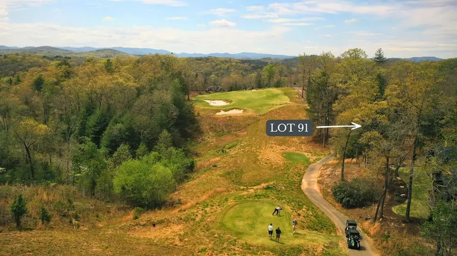 Lot 91 Fallen Leaf Road, Mineral Bluff, GA 30559 - #3