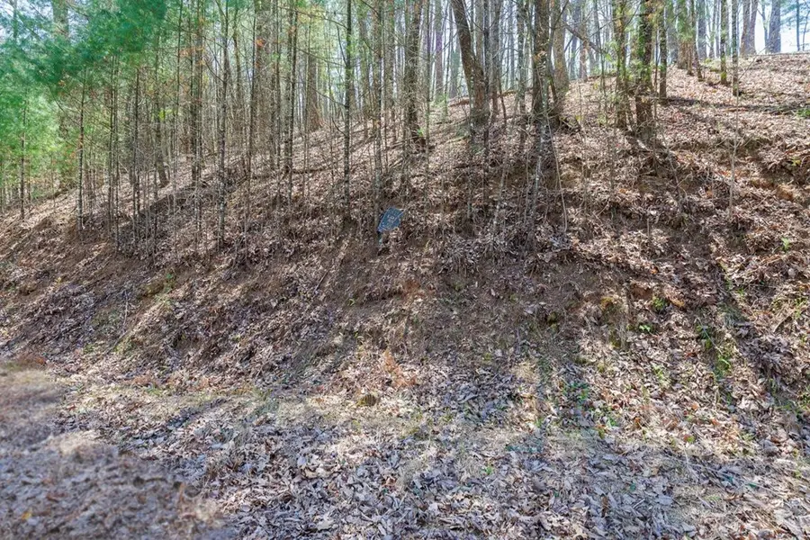 0 Laurel Trail, Suches, GA 30572 - #2