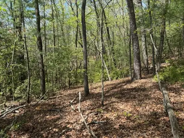 Lot 9 Marjorie Avenue, Ellijay, GA 30536