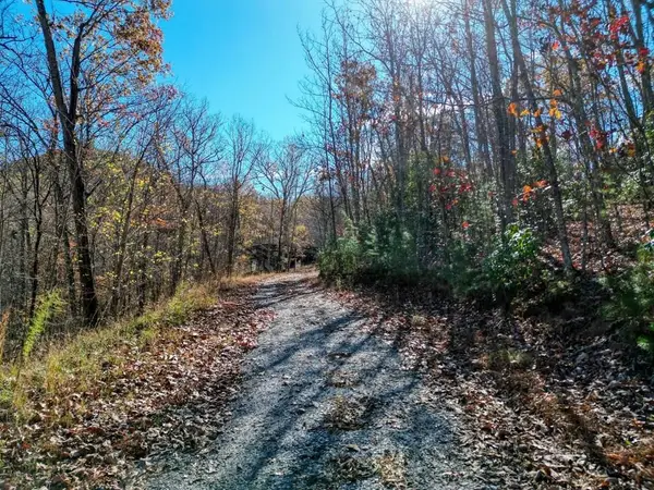 57.59 Winchester Creek, Young Harris, GA 30582