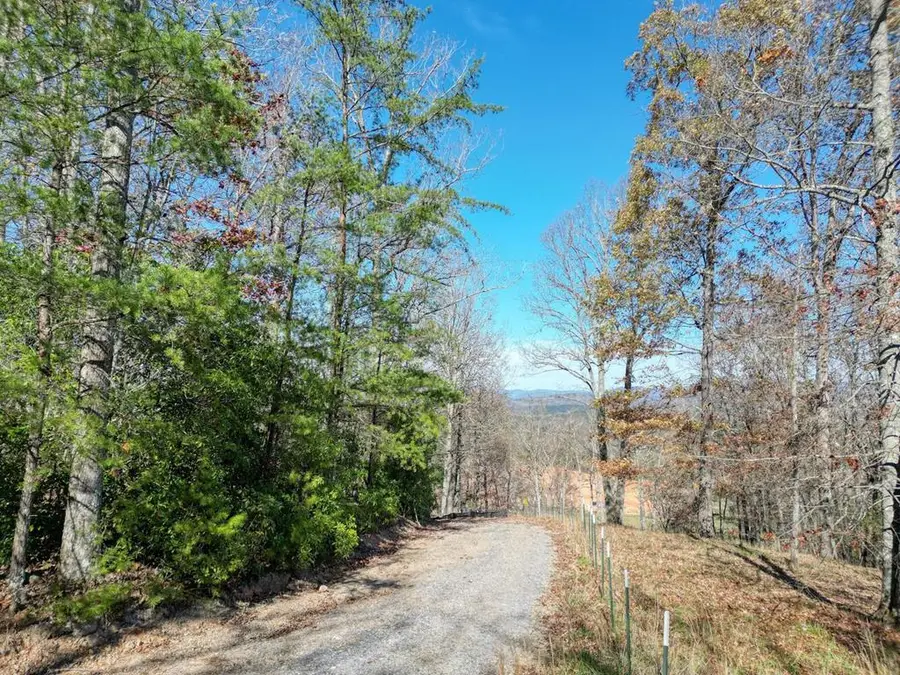 57.59 Winchester Creek, Young Harris, GA 30582 - #2