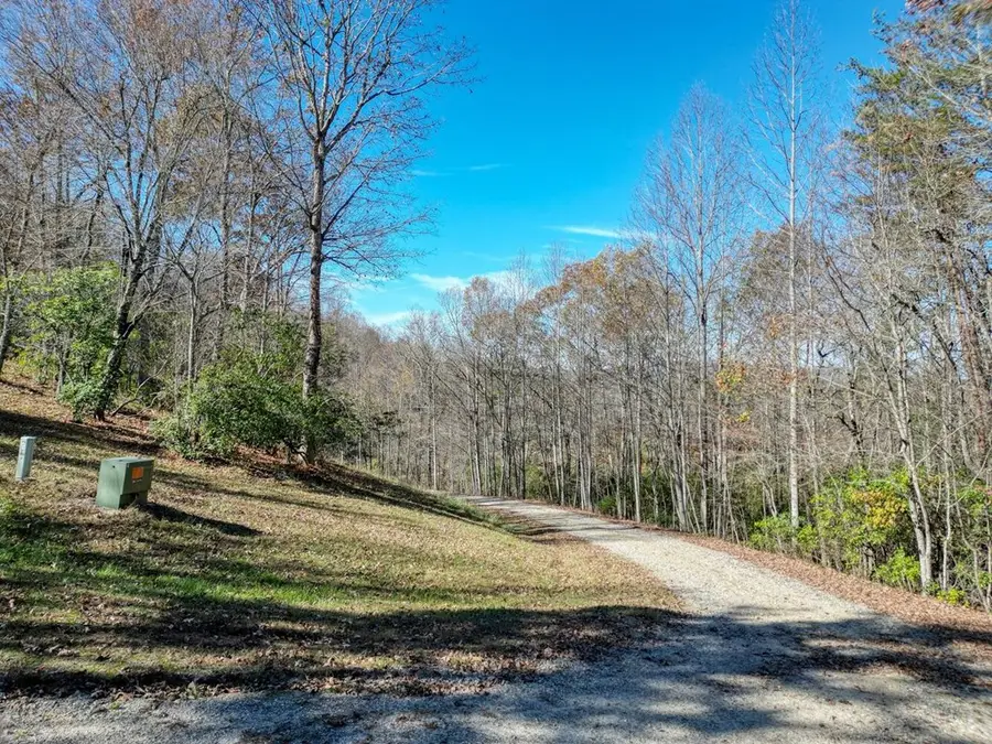 57.59 Winchester Creek, Young Harris, GA 30582 - #3