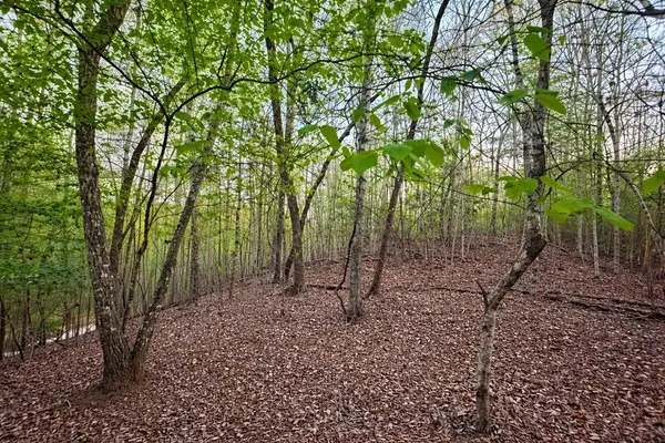 Lot 5 Riverbend Manor, Blue Ridge, GA 30513