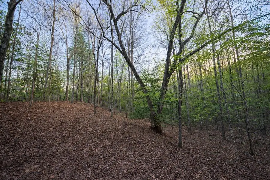 Lot 5 Riverbend Manor, Blue Ridge, GA 30513 - #3