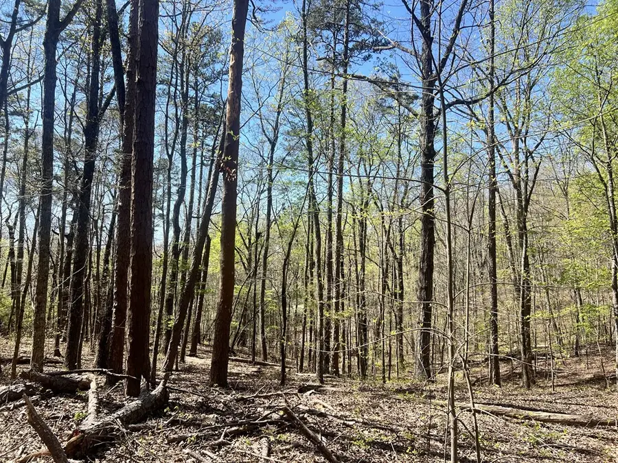 Lot 92 Doll Mountain Road, Ellijay, GA 30540 - #3