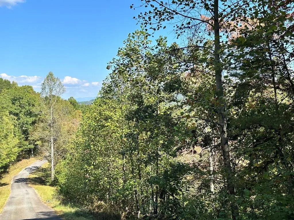 Lot 3 Ruby Ridge, Young Harris, GA 30582 - #1