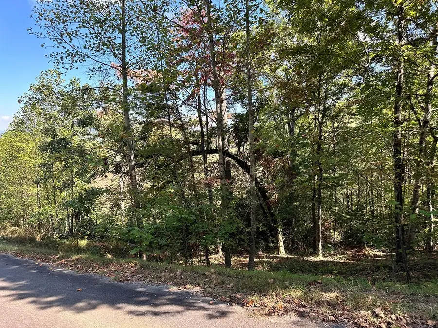 Lot 3 Ruby Ridge, Young Harris, GA 30582 - #2