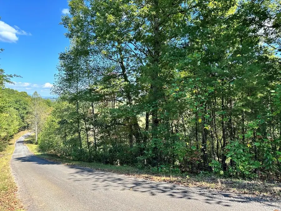 Lot 3 Ruby Ridge, Young Harris, GA 30582 - #3