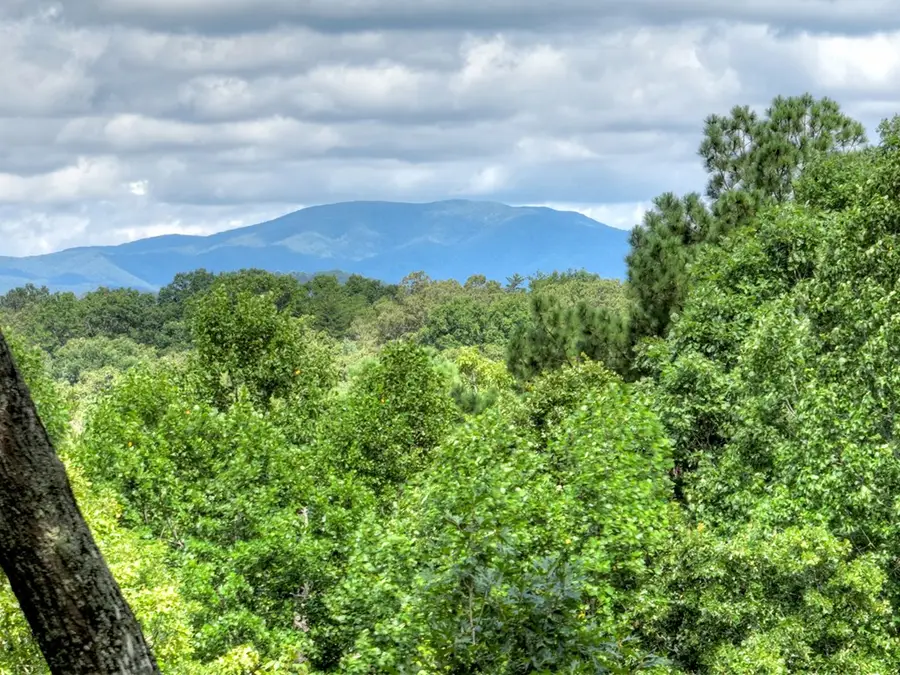 88 Wagon Tracks Ridge, Mineral Bluff, GA 30559 - #2