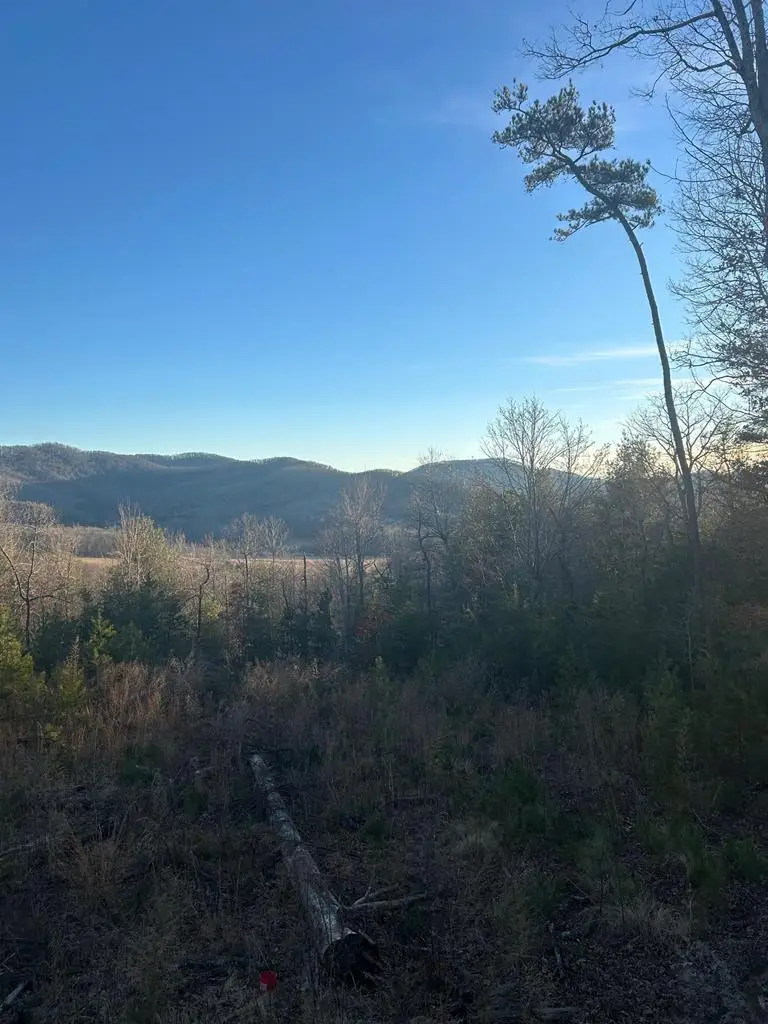 0 Stanleys Ridge, Morganton, GA 30560 - #2