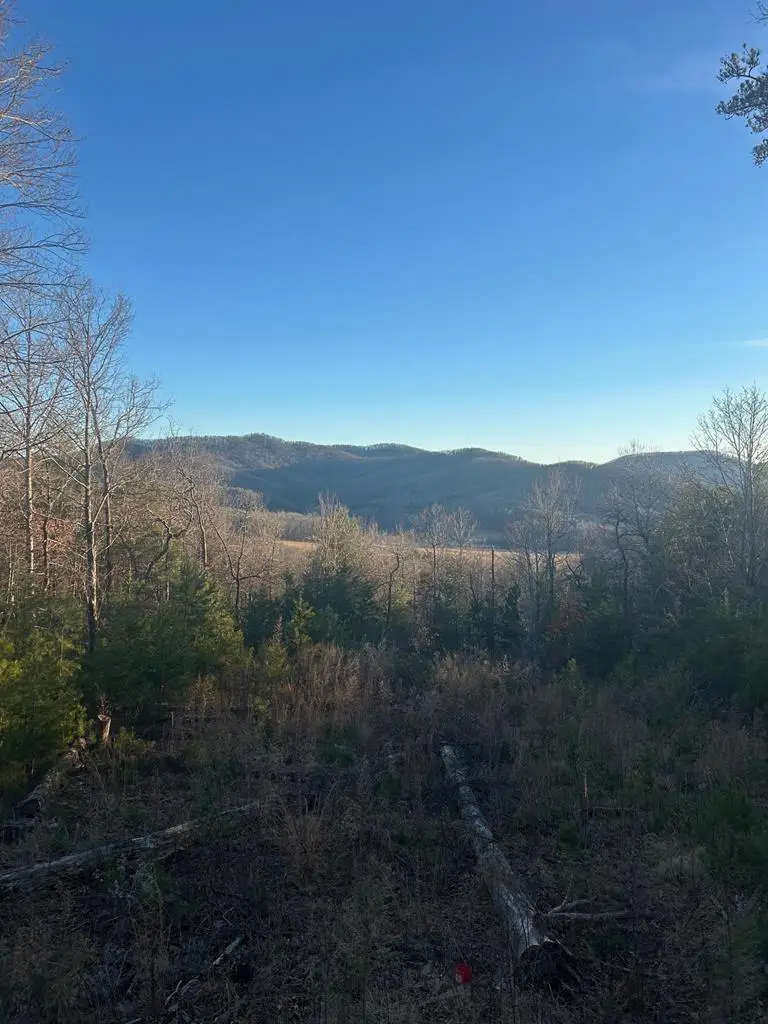 0 Stanleys Ridge, Morganton, GA 30560 - #3